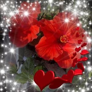 Meet your Posher, Gloria